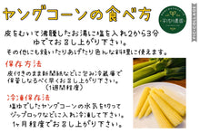 画像をギャラリービューアに読み込む, 農園直送・朝採れヤングコーン(皮付き)70本|久留米 宇佐川農園