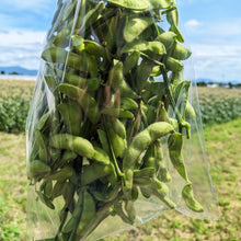 画像をギャラリービューアに読み込む, 朝どれ直送とうもろこしと枝豆旬のおつまみセット【夏限定】|久留米 宇佐川農園