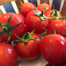 画像をギャラリービューアに読み込む, 農家さん厳選の新鮮!旬の夏野菜セット