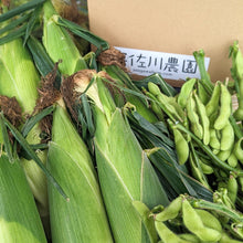 画像をギャラリービューアに読み込む, 朝どれ直送とうもろこしと枝豆旬のおつまみセット【夏限定】|久留米 宇佐川農園