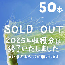 画像をギャラリービューアに読み込む, 農園直送・朝採れヤングコーン(皮付き)50本|久留米 宇佐川農園