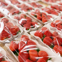 画像をギャラリービューアに読み込む, 【朝採れ直送】福岡の至宝「あまおう」たっぷり280g×4パック!宇佐川農園のこだわり苺