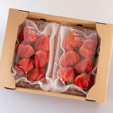 画像をギャラリービューアに読み込む, 【朝採れ直送】ガブリと頬張る大粒の贅沢!福岡産「あまおう」ご家庭用 2パック