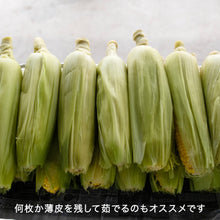 画像をギャラリービューアに読み込む, 朝採れ直送とうもろこし(スウィートコーン) 5kg(13∼15本)【6月限定】|久留米 宇佐川農園