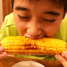 画像をギャラリービューアに読み込む, 朝採れ直送とうもろこし(スウィートコーン) 5kg(13∼15本)【6月限定】|久留米 宇佐川農園