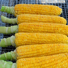 画像をギャラリービューアに読み込む, 朝採れ直送とうもろこし(スウィートコーン) 5kg(13∼15本)【6月限定】|久留米 宇佐川農園