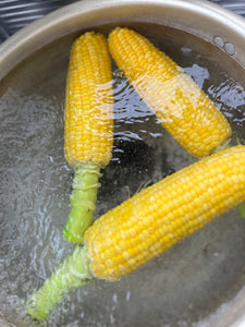 近日販売！朝穫れ!! 農家直販 とうもろこし（スウィートコーン） ＜5kg（13∼15本）＞福岡県久留米市