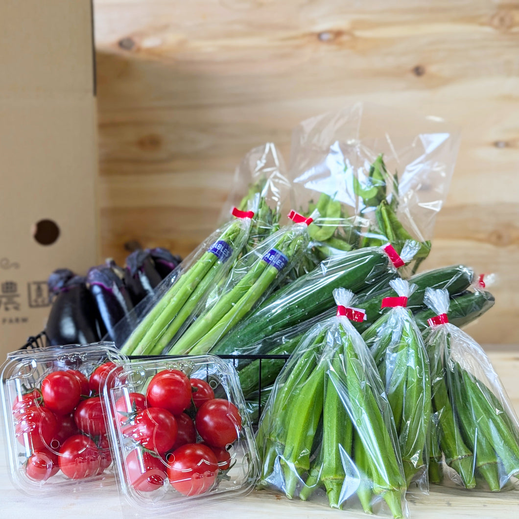 農家さん厳選の新鮮！旬の夏野菜セット
