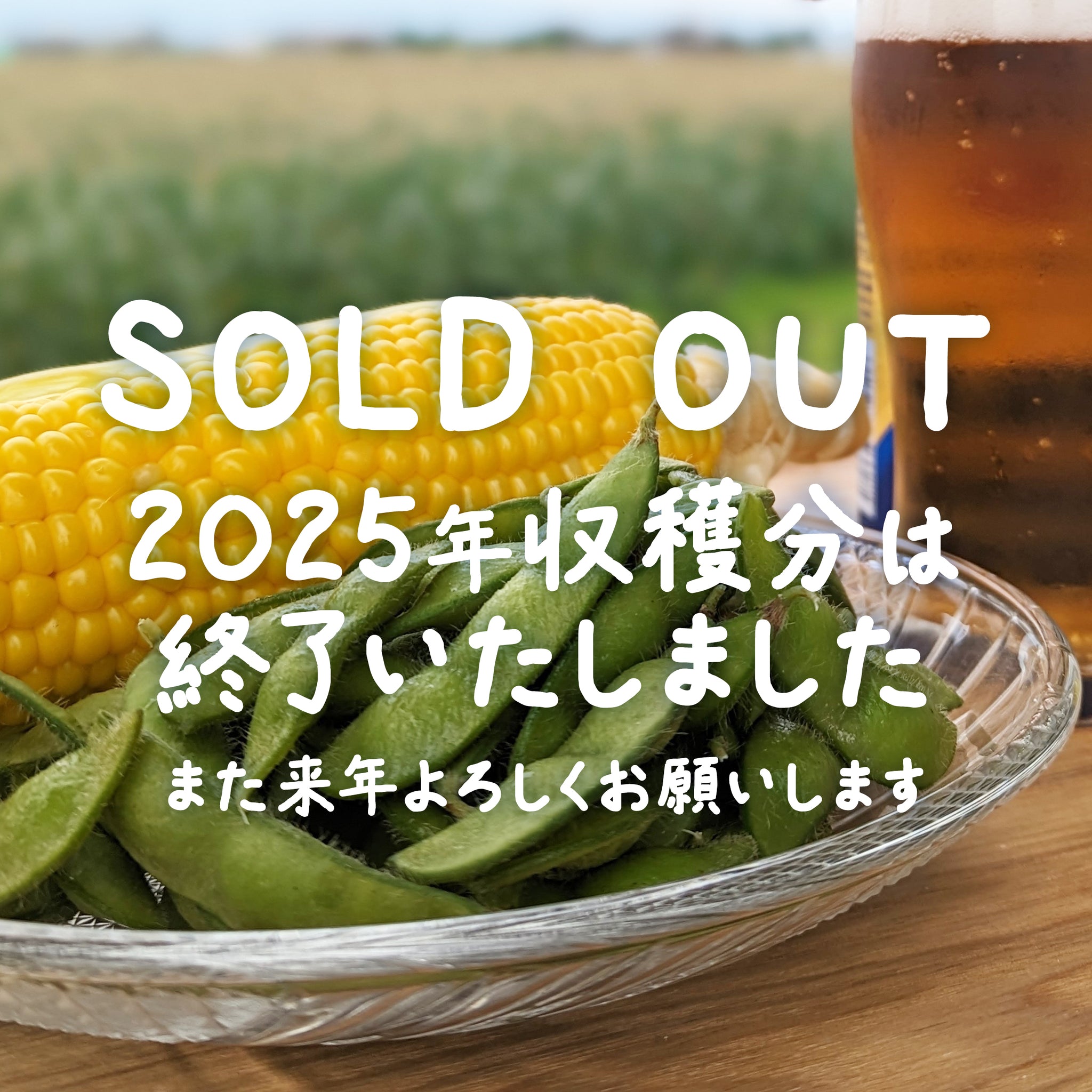 株式会社 宇佐川農園｜福岡県久留米市の農家直販サイト【とうもろこし