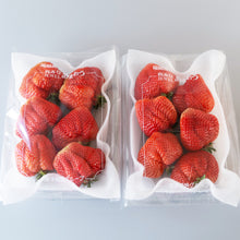 画像をギャラリービューアに読み込む, 【朝採れ直送】ガブリと頬張る大粒の贅沢！福岡産「あまおう」ご家庭用 2パック
