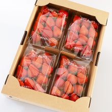 画像をギャラリービューアに読み込む, 【朝採れ直送】福岡の至宝「あまおう」たっぷり280g×4パック！宇佐川農園のこだわり苺
