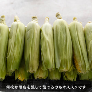 朝採れ直送とうもろこし(スウィートコーン) 5kg（13∼15本)【6月限定】｜久留米 宇佐川農園