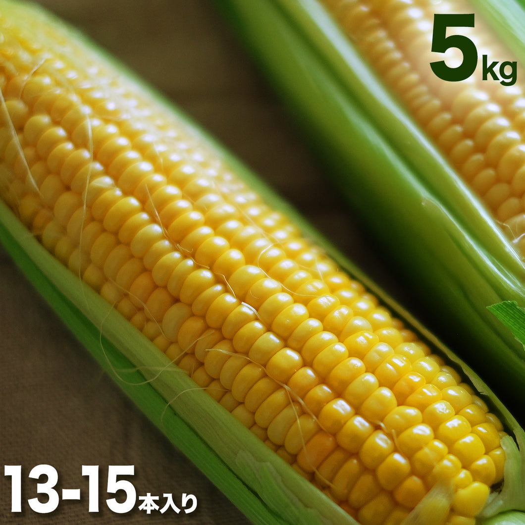 朝採れ直送とうもろこし(スウィートコーン) 5kg（13∼15本)【6月限定