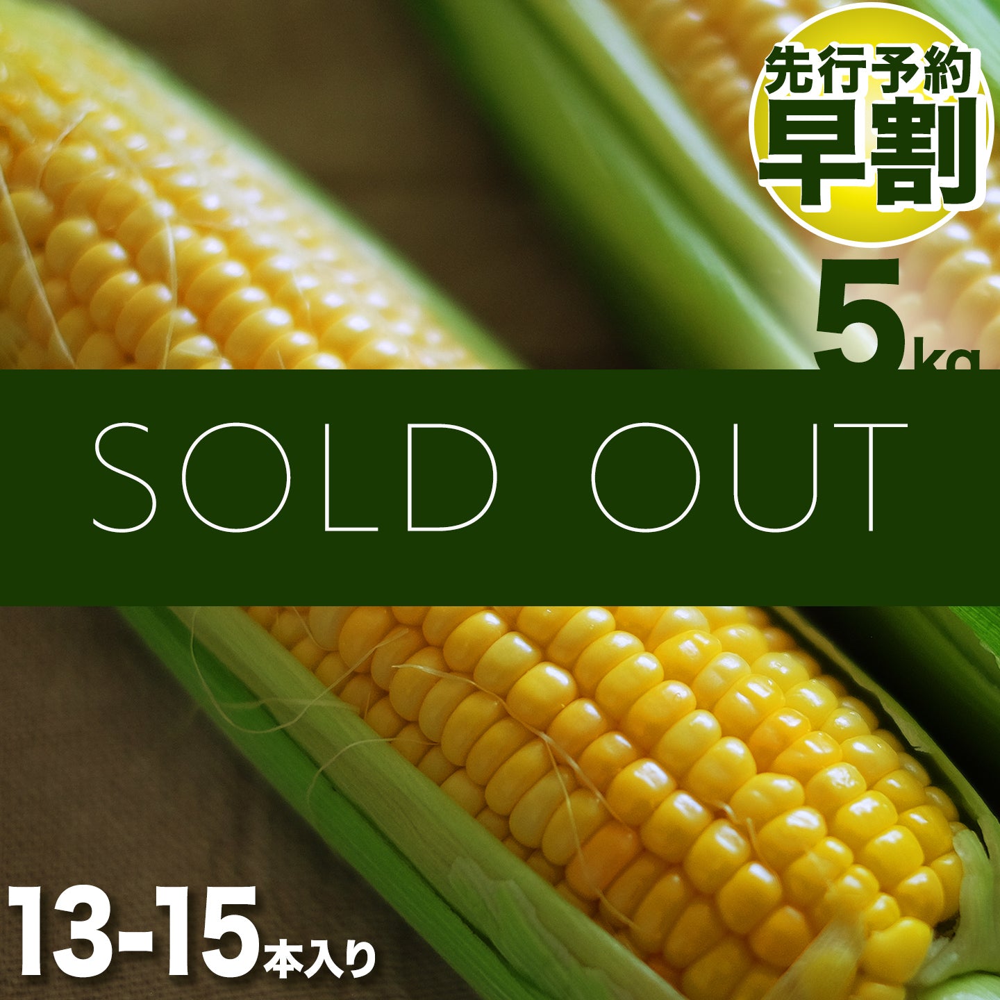 朝採れ直送とうもろこし(スウィートコーン) 5kg【先行予約 早割 20%OFF