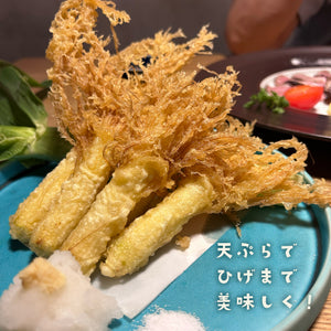 農園直送・朝採れヤングコーン（皮付き）70本｜久留米 宇佐川農園