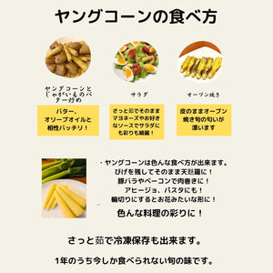 農園直送・朝採れヤングコーン（皮付き）70本｜久留米 宇佐川農園